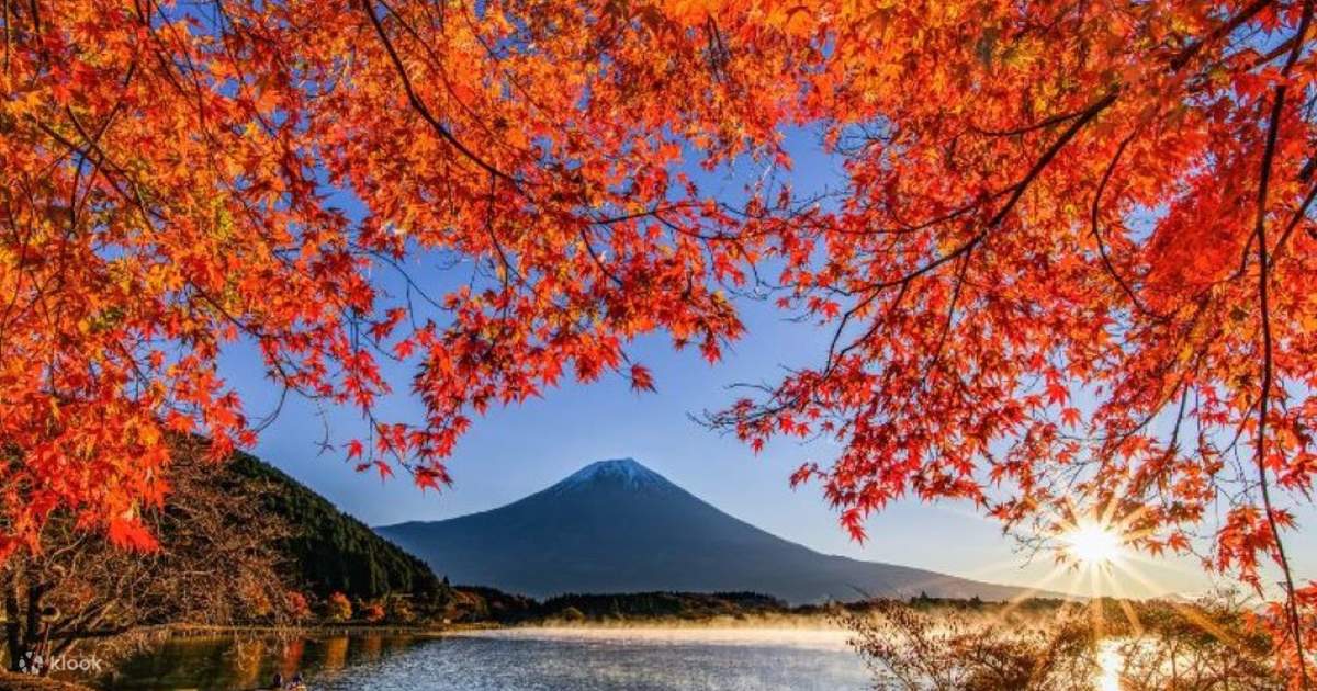 Great Views of Mt. Fuji and Autumn Leaves 1Day Tour from Nagoya